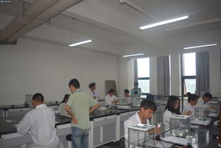 輕工化工系工業(yè)分析與檢驗(yàn)技能大賽決賽圓滿落幕，展現(xiàn)生物化工產(chǎn)品技術(shù)研發(fā)新風(fēng)采